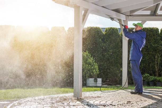 Best Soft Washing for Delicate Surfaces in New Hampton, IA
