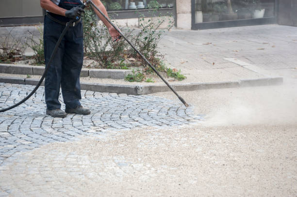 Best Roof Cleaning and Mildew Removal in New Hampton, IA